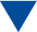 blue triangle, corporate logo of terratec